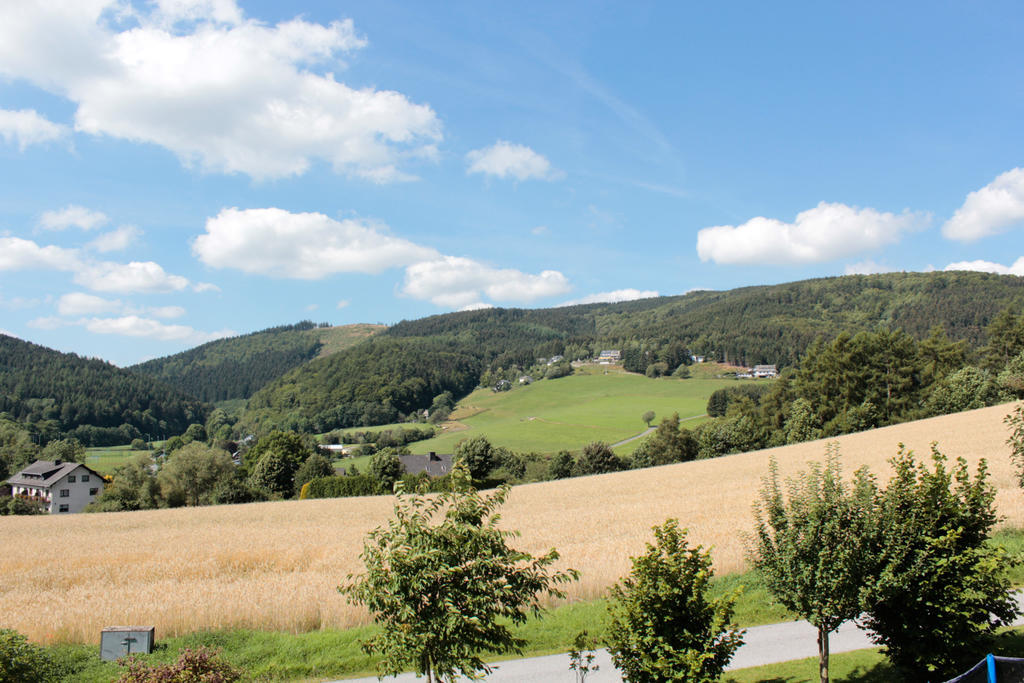 Ferienwohnung Emde Willingen  Exterior foto