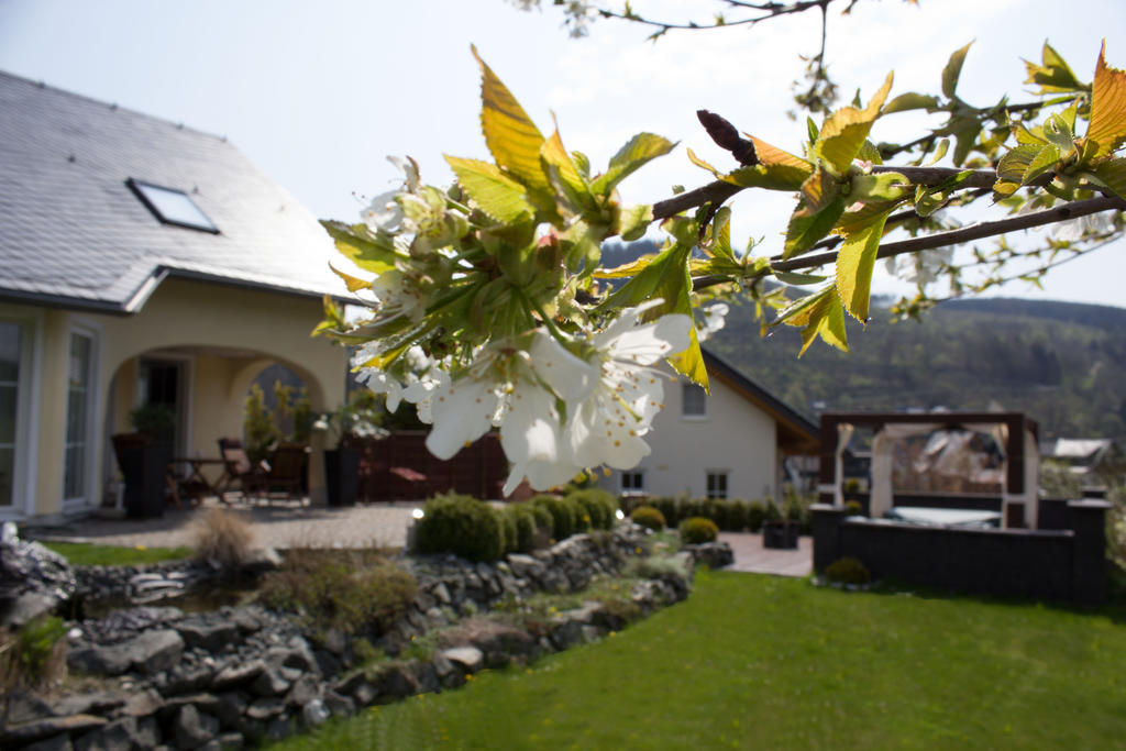 Ferienwohnung Emde Willingen  Exterior foto