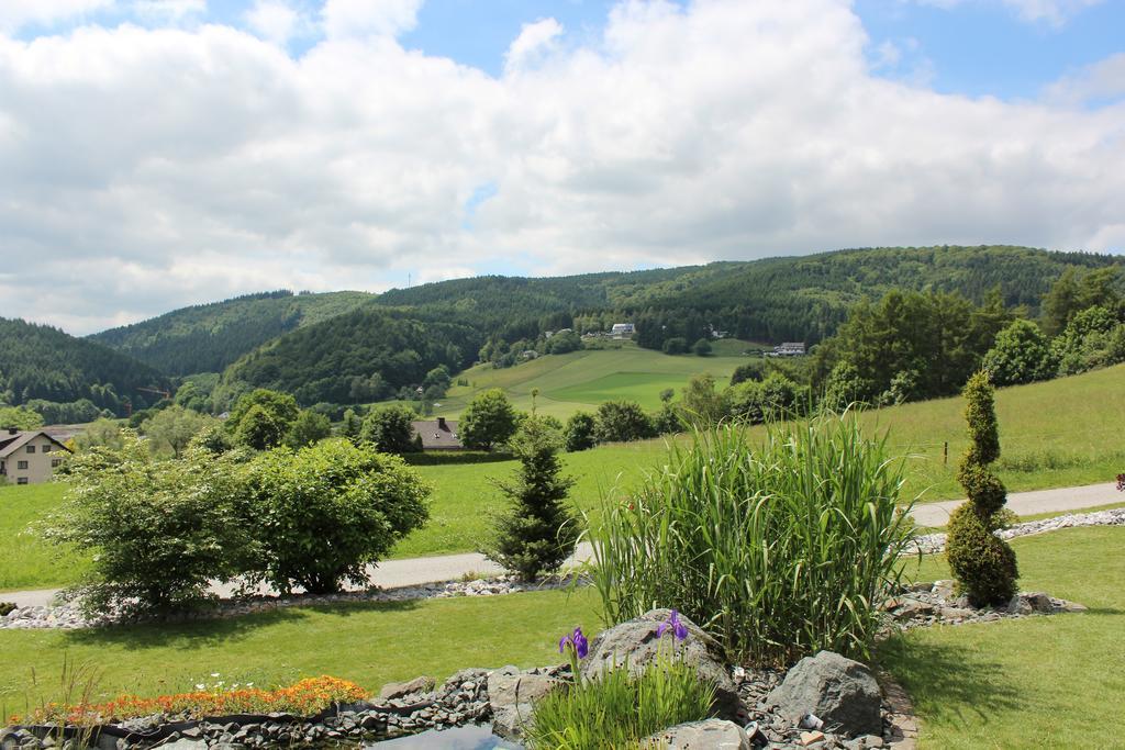 Ferienwohnung Emde Willingen  Exterior foto